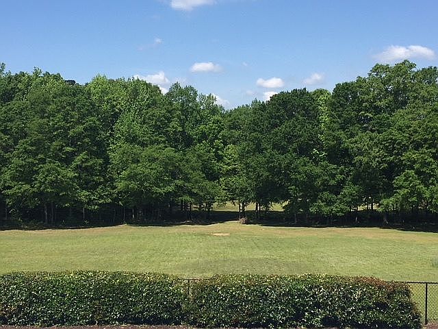 back yard