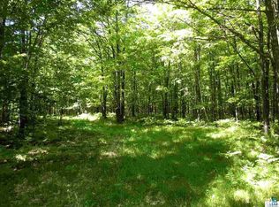 Xxx Hollander Rd, Iron River, WI 54847
