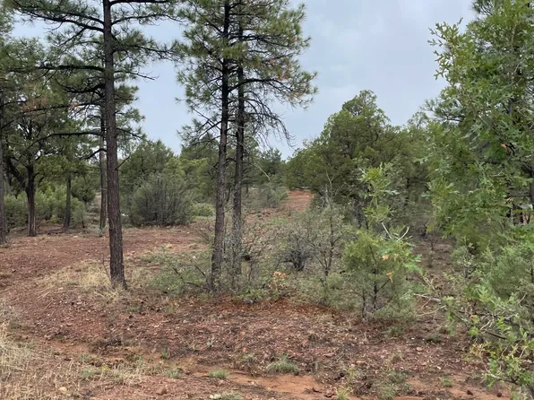 631 S Haven Dr, Show Low, AZ 85901