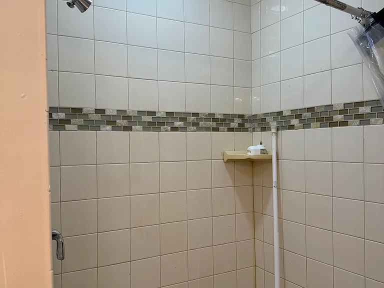 Master shower
