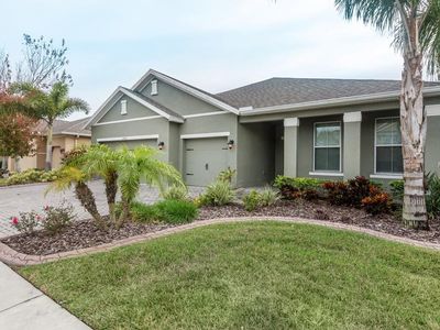 22630 Cherokee Rose Pl, Land O Lakes, FL, 34639