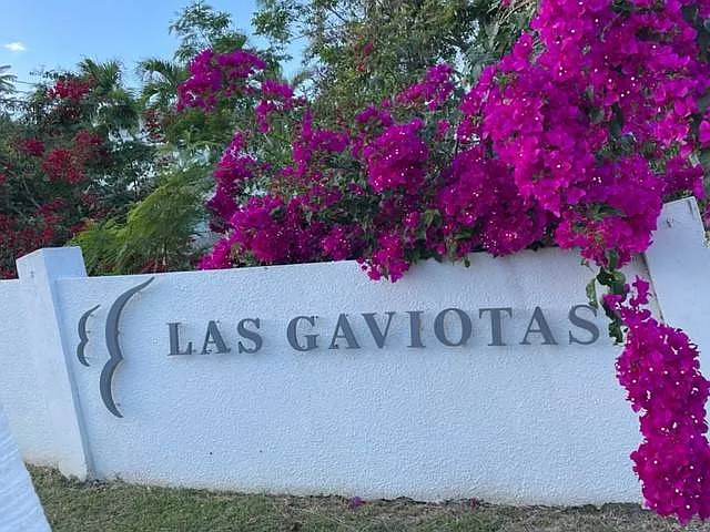 C Las Gaviotas