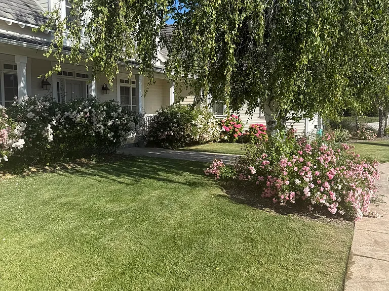 2101 Dermanak Dr — Photo 46