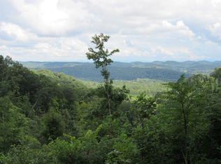 Tadpole Hollow Ln, Chuckey, TN 37641