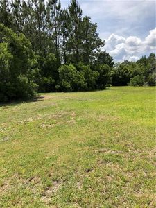 71 Manatee Way, Saint Marys, GA, 31558