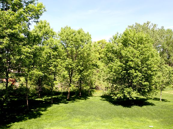 5th image of 2008 Great Oaks Dr