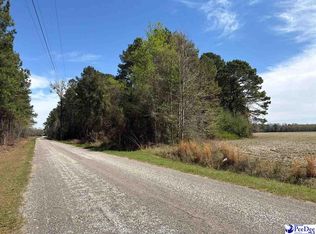 Mta 10 Heustess Rd, Little Rock, SC 29567