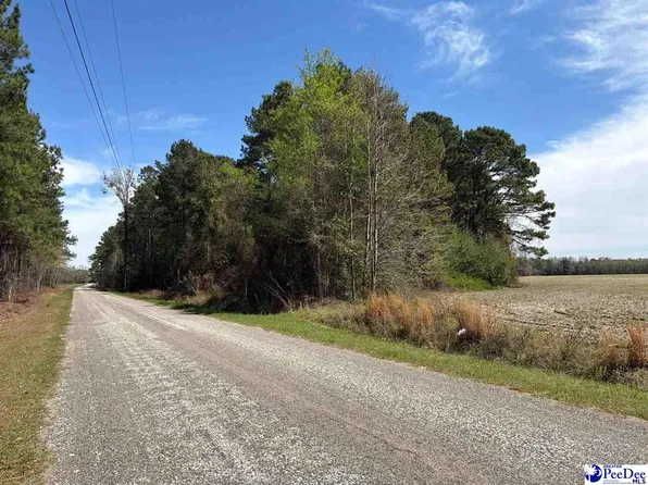 Mta 10 Heustess Rd, Little Rock, SC 29567