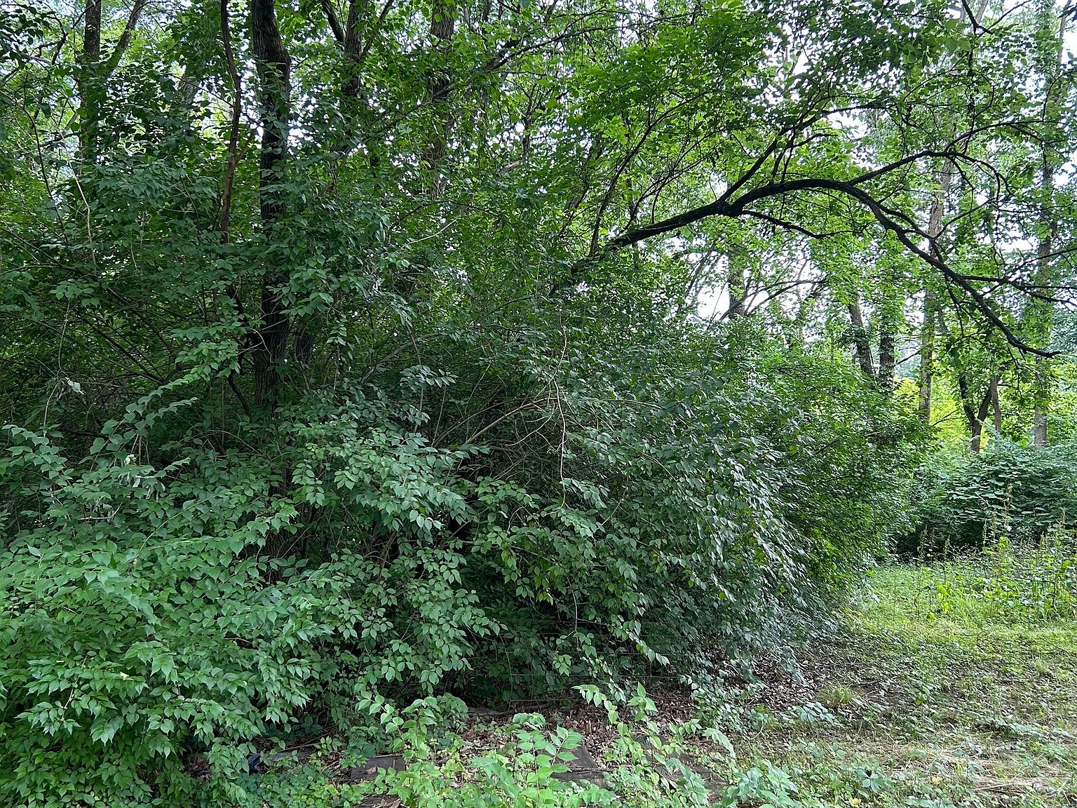 6623-riverfront-ave-indianapolis-in-46220-mls-21928807-zillow