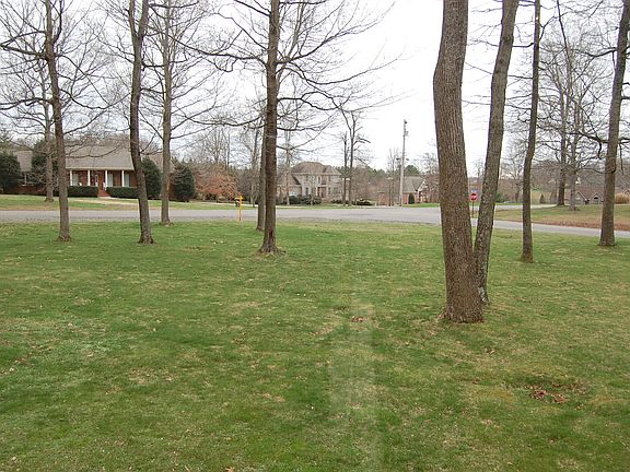 View from front Living Room