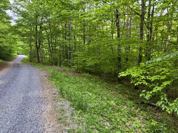 LOT 14 Roberts Ridge Rd, Slatyfork, WV 26291