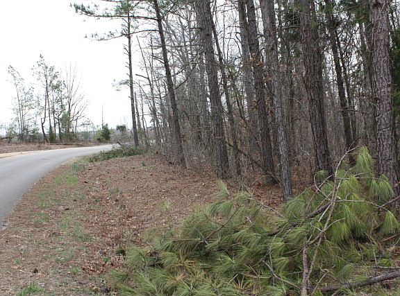 5th image of 00 Cotton Creek