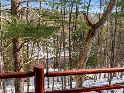 8337 Sturgeon Valley Dr, Indian River, MI, 49749