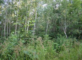 000 Hazel Rd, Antigo, WI 54409