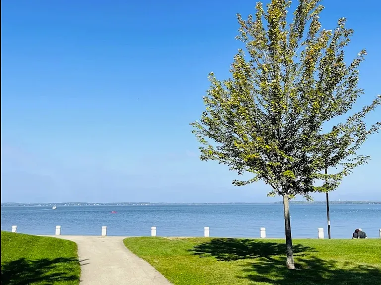 Walk at James Madison Park