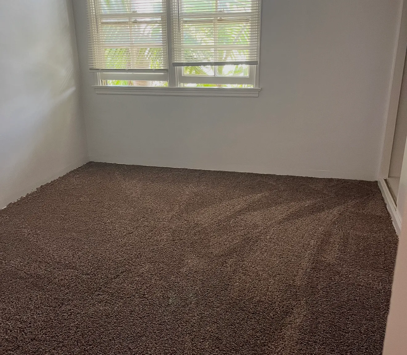 1 bed, $1,995 — Photo 4