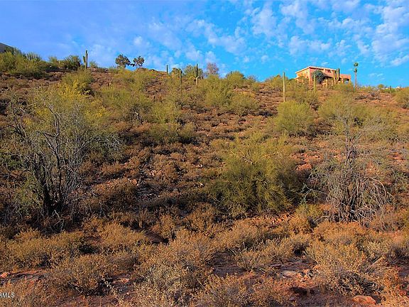 Looking up Hill