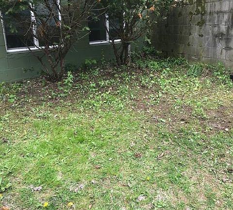 front yard