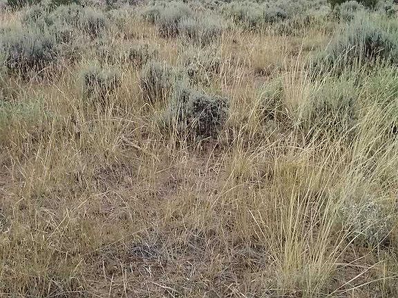 4th image of Tbd Government Springs Road
