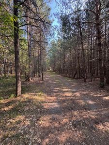 9851 Country Ln, Woodruff, WI, 54568