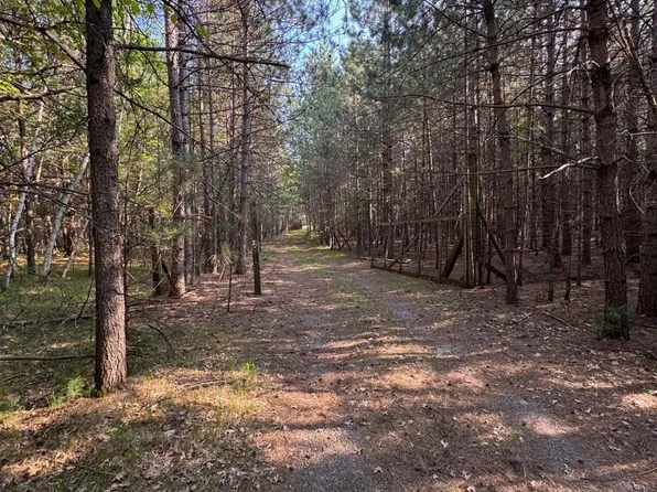 9851 Country Ln, Woodruff, WI 54568