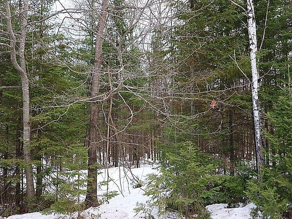 5th image of 713XX Oulu Rock Rd