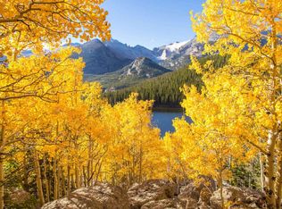 4010 Silverheels Dr #1, Silverthorne, CO 80498