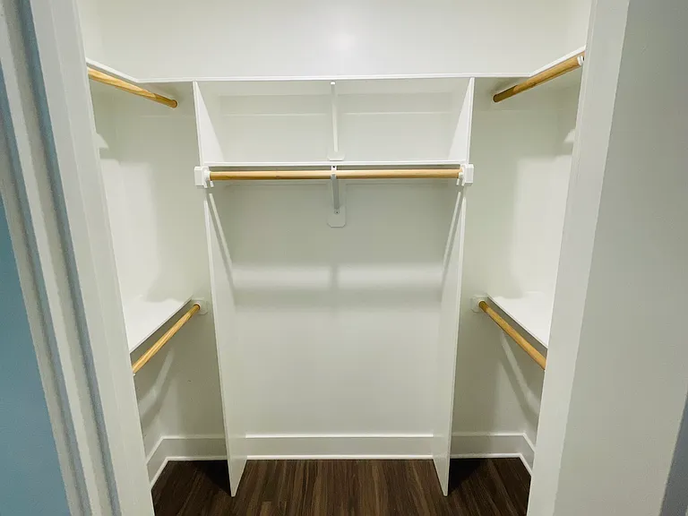 Walk-In Closet in Master Bedroom