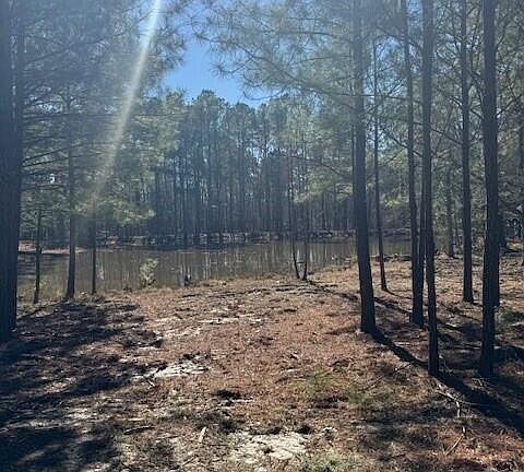 2nd image of 0 Water Oak Drive