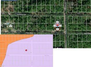 336 Palm Way, Georgetown, FL 32139