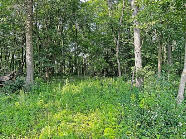 Xxx 57th Ave, Osceola, WI 54020