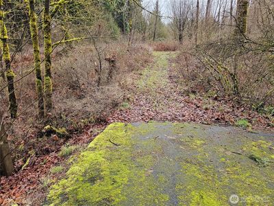 13036 188th Avenue SW, Rochester, WA, 98579