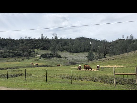 2nd image of 22066 Jerusalem Grade