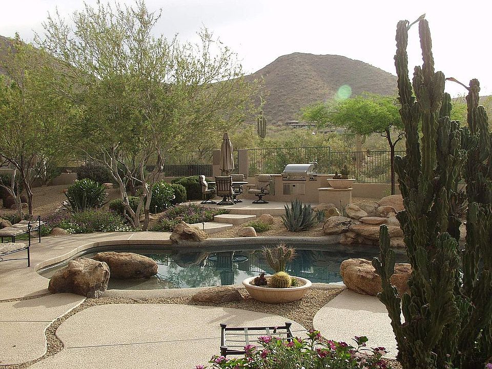 Back Yard View