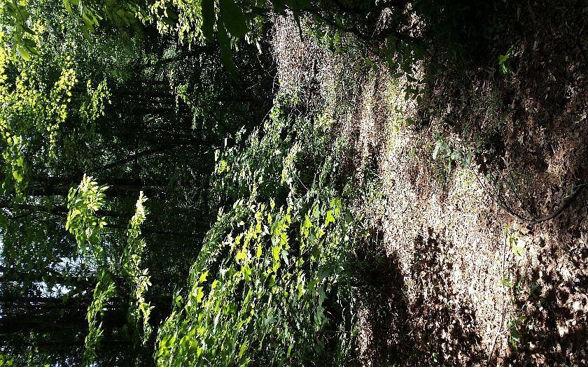 1st image of 5 Mountain Dr