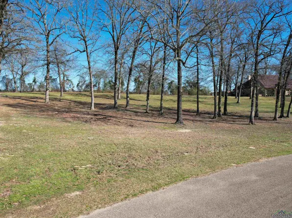 LOT 55 Widgeon Ln, Gilmer, TX 75645