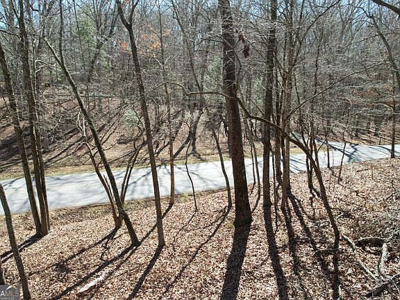 4th image of 0 Curtis Switch Rd