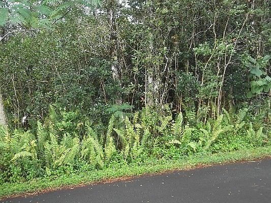 3rd image of 22nd Ave Lot 298