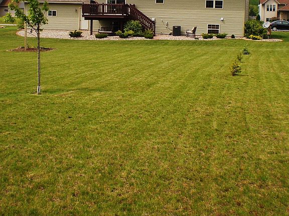 Back yard, Southern Exposure