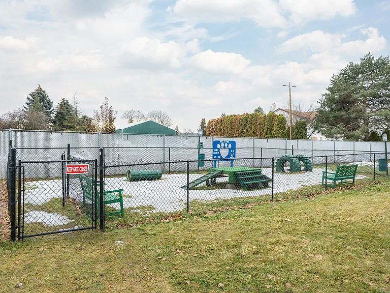 Dog Park
