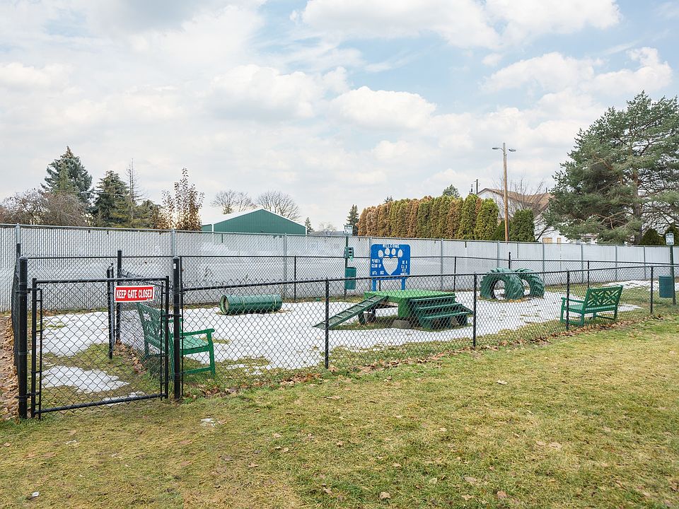 Dog Park