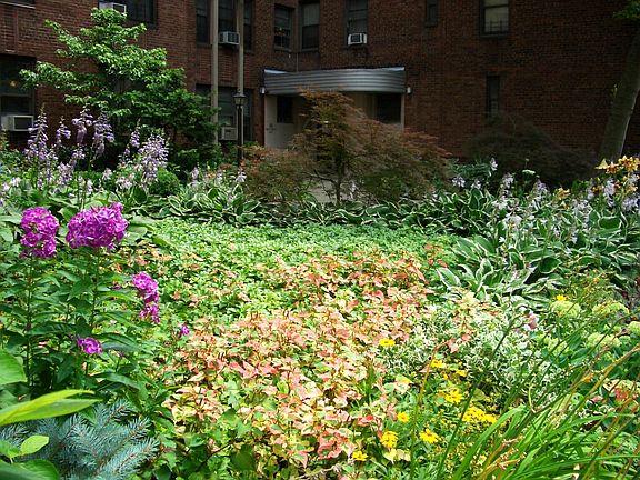 5th image of 55 Park Ter E APT B10