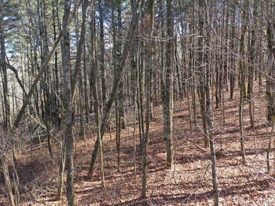 6 Receptive Drive, Glenville, NC, 28736