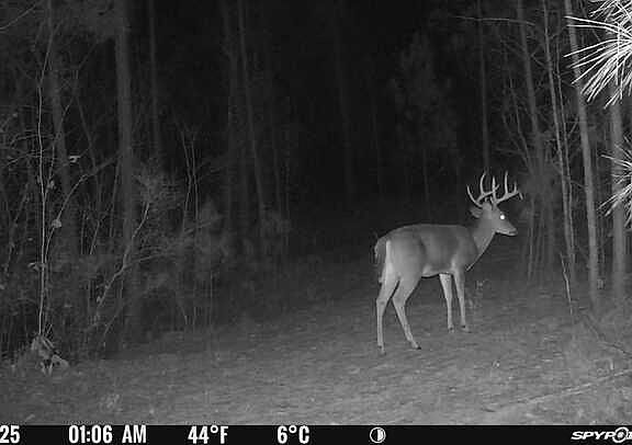 3rd image of Carlisle Gap Rd