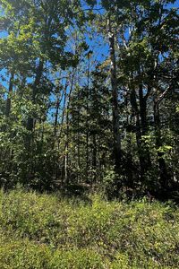 LOT 40 Lake Club Dr, Gaylord, MI, 49735