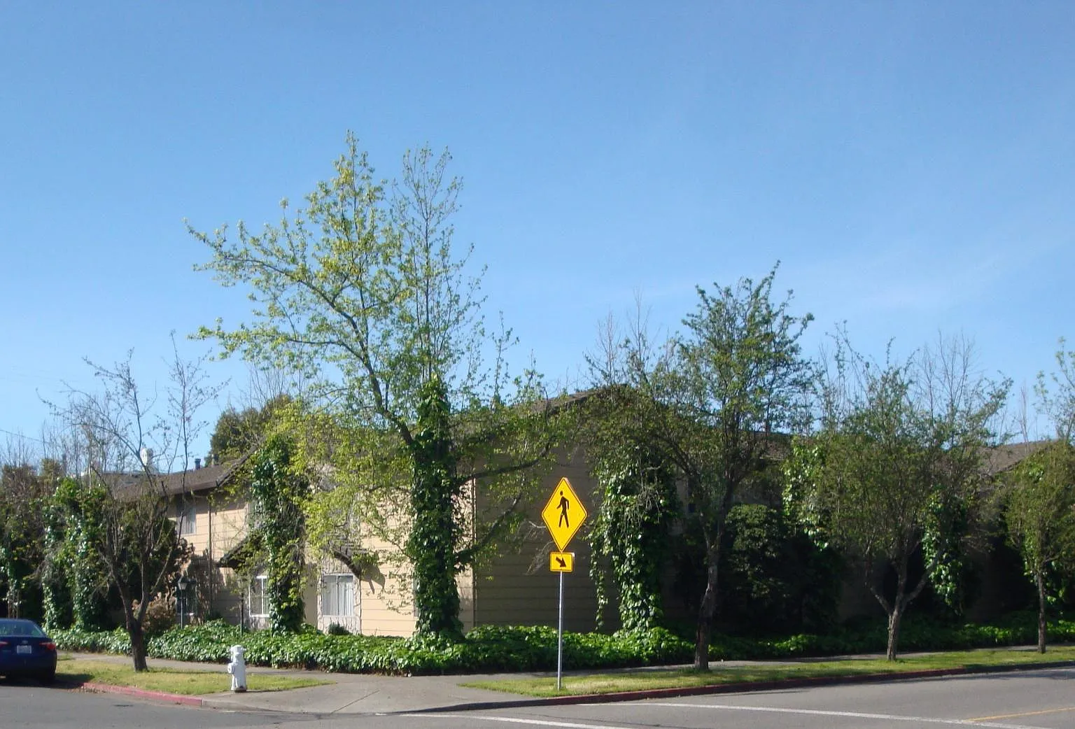 2 bed, 850 sqft, $1,890 — Photo 1