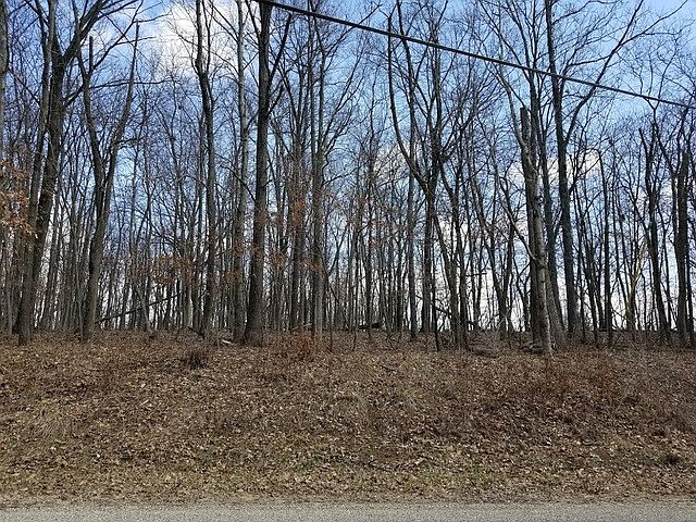 2nd image of 1362 Lake Wildwood Dr