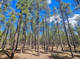 234 Deer Run Rd, Lakeside, AZ 85929