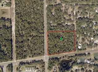 1295 S Blue Lake Ave, Deland, FL 32724