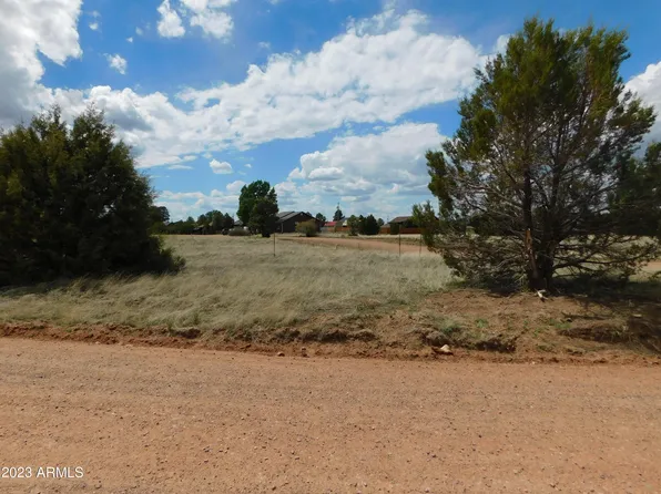 2267 PAGE Drive #129, Overgaard, AZ 85933